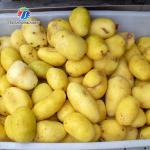 Stainless Steel Fruit And Vegetable Processing Line Brush Cleaning And Hoisting