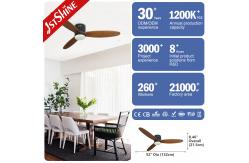 China Dimmable 6 Speed 52in LED Ceiling Fan With 3 Solid Wood Blades supplier