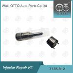 7135-812 Delphi Injector Repair Kit Nozzle Valve Kit Nozzle CVA Kit