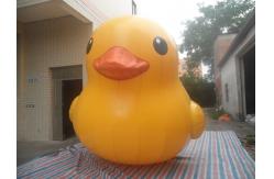 China Commercial Show Airtight Inflatable Duck Cartoon For Water Games EN14960 EN71 supplier