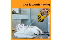 China Pet Leash Small Bee Shape Retractable Automatic Dog Leash supplier