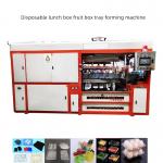 Used Plastic Thermoforming Machines Container For Making Disposable Food Plates for sale
