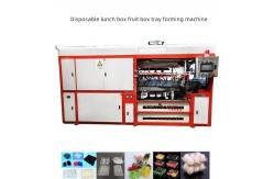 China Used Plastic Thermoforming Machines Container For Making Disposable Food Plates supplier