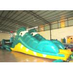Pirate Themed Alarge Inflatable Water Toys , Children Giant Inflatable Pool Toys