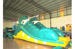 China Pirate Themed Alarge Inflatable Water Toys , Children Giant Inflatable Pool Toys supplier