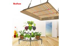 China 2x2 3x3 100w LED UV IR Daisy Chain Grow Lights supplier