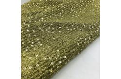 China Classic 147cm Polyester Embroidered Sequin Mesh Fabric For Evening supplier