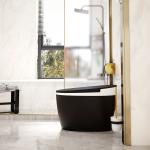 Seat Heating 3L 6L Smart Intelligent Toilet Siphonic Bathroom Bidet for sale