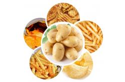 China Multifunctional Automatic Potato Chips Making Machine French Fries Maker supplier