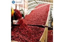 China Belt Dryer Machine Pepper Chili Chrysanthemum Belt Dryer Dehydration supplier