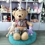 OAINI Brand OEM ODM Top-rated Quality Top-selling Stuffed Animal Toys Soft Cute Baby Huggable Loveable Brown  Bear Toys for sale