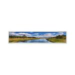 DV231FBQ-NV0 23.1 inch lcd display screen panel for Stretched Bar LCD for sale