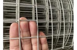 China Hot Dipped Galvanized Welded Wire Mesh 14 16 Gauge  Free Sample Offered supplier