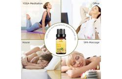 China 5ml Herbal Essential Oils MSDS Ginger Essential Oil Hair Growth OEM supplier