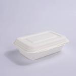 Hotel Microwavable Sugarcane Bagasse Clamshell Disposable Take Away Bagasse Lunch Box for sale