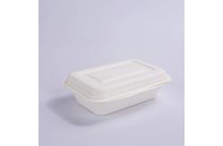 China Hotel Microwavable Sugarcane Bagasse Clamshell Disposable Take Away Bagasse Lunch Box supplier