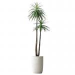Handmade 150cm Artificial Dracaena Frost Resistance Anti - Aging for sale