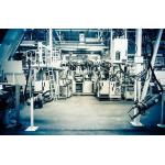 General Warehouse Assessment Report Employee Relations Necessary Licenses for sale