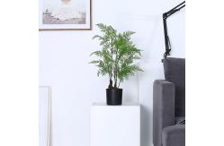 China Plastic Material Artificial Fern Tree Architectural Landscaping supplier