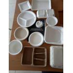 Biodegradable Recyclable Sugarcane Bagasse Cup Making Machine 30kw Lunch Box Use for sale