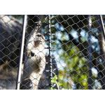 AISI316 Inox Zoo Wire Mesh Transparent Zoo Aviary Netting Weather Resistant for sale