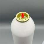 Professional Fire Extinguisher Valve Fittings  High  Pressure Tolerance for Industrial Use for sale