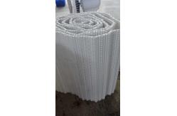 China                  Food Grade Plastic Modular Noodle Conveyor Chain Belt for Packing Machine              supplier