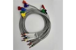 China HP Digitrak Xt 10 Lead Holter ECG Cable With Banana Plug supplier