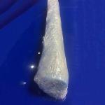 4 Ply Fabric SS Wire Reinforced Silicone Braided Hose ID 12mm