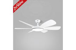 China 1stshine Modern DC Remote 6 Blades LED Ceiling Fan with Light and Consumption supplier