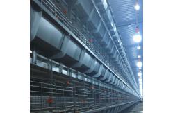 China Poultry Equipment Multi Poultry Broiler Cage Customized Multi Style supplier