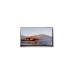 4.7 inches rectangle lcd screen Display DMF50081NF-SFW for Original SHARP for sale