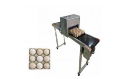China Automatic Egg Jet Coding Machine With Non - Toxic Environmental Protection Ink supplier