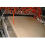 Double Screw WPC Furniture Plastic Board Extrusion Line 12 months Warranty for sale
