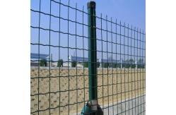 China Hot-dipped Galvanized Welded Wire Mesh Panel Fencing With PVC Coating supplier
