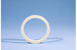 China Advanced Electronic Ceramic Ring for semiconductor supplier