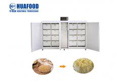 China 250kg/d Industrial Automatic Bean Sprout Machine For Soybean And Mungbean Seeds supplier