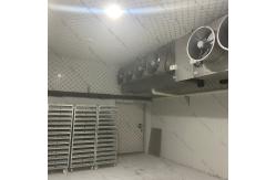 China Walk In Cold Room Freezer supplier