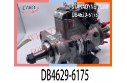 China DB4629-6175 STANADYNE DIESEL FUEL ENGINE FUEL PUMP DB44727-6120 T832210060 supplier