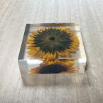 Custom Sunflower Paperweight Acrylic Globe Paperweight for sale