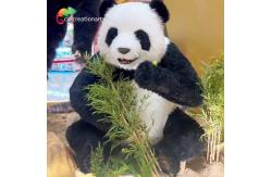 China Realistic Robotic Animals Animatronic Panda For Amusement Park supplier
