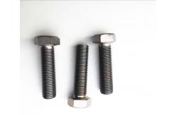 China ISO9001 High Precision Titanium Hex Bolts Threaded Left Hand Thread Bolts supplier