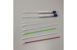 China Cotton Rayon Head Specimen Collection Swabs With Tube Femal Oral Samples supplier