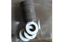 China P4 Piezoelectric Ceramics With Positive And Negative Electrode supplier
