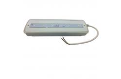 China 3 Hours Operation Rechargeable Waterproof Emergency Light Led Emergency Bulkhead IP65 supplier