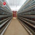 Galvanized Layer Chicken Cages Automatic H Type Poultry For Farming for sale