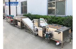 China Customized Mutuality Function Fruit And Vegetable Processing Line supplier