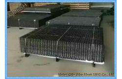 China 65mn/45mn Square Vibrating Screen Mesh/ Crimped Wire Mesh With Hook supplier