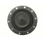 Tensile Strength 0.1 To 15Mpa Thermal stability Temperature Resistance within Various Sizes for sale