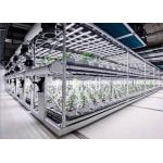 Custom Aeroponics Hydroponics System For Planting for sale